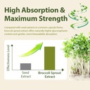 sulforaphane-supplement-from-broccoli-sp-6.jpg