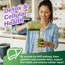 150mg-liposomal-sulforaphane-supplement--4.jpg