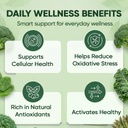 nivora-broc-high-density-sulforaphane-su-5.jpg