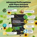liposomal-sulforaphane-gummies-150mg-bro-4.jpg