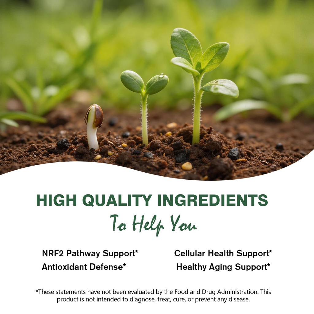 sulforaphane-from-broccoli-seed-broccoli-3.jpg
