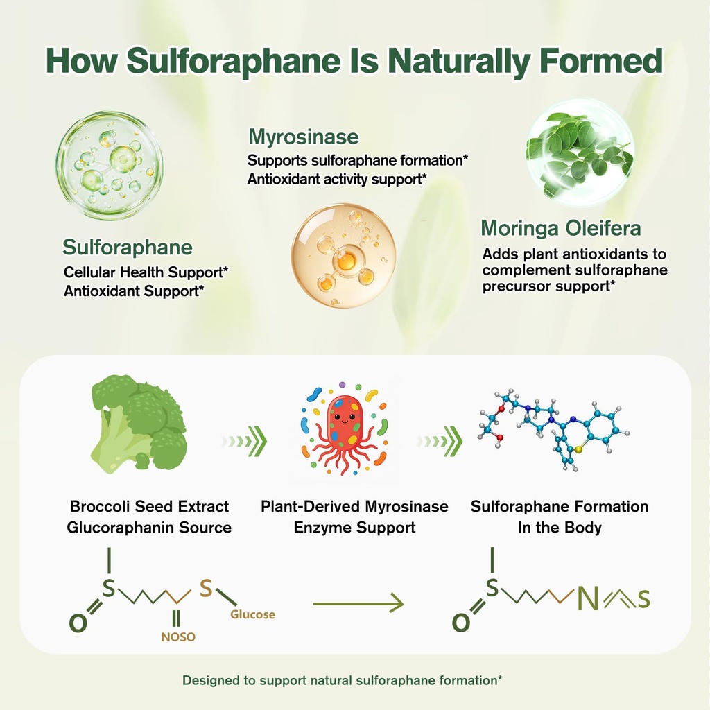sulforaphane-from-broccoli-seed-broccoli-4.jpg