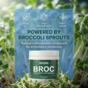 nivora-broc-high-density-sulforaphane-su-3.jpg