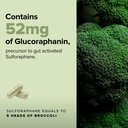 complement-sulfora-sulforaphane-suppleme-5.jpg