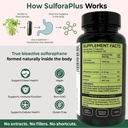 sulforaplus-broccoli-sprout-capsules-who-3.jpg