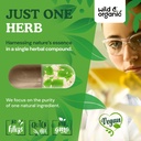 wild-organic-white-mulberry-leaf-extract-5.jpg
