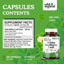 wild-organic-white-mulberry-leaf-extract-3.jpg
