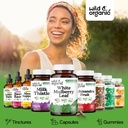 wild-organic-white-mulberry-leaf-extract-6.jpg