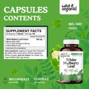 wild-organic-white-mulberry-leaf-extract-3.jpg
