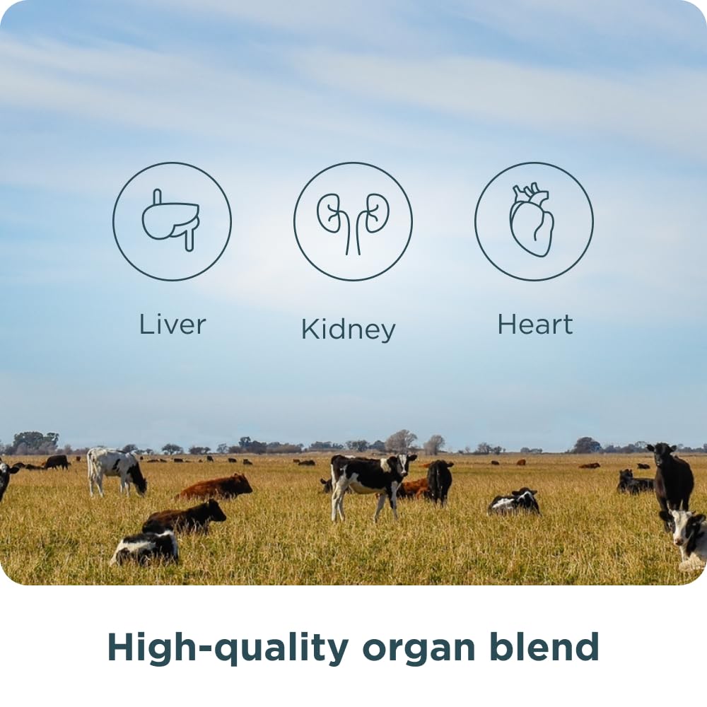 ancient-nutrition-organ-supplements-once-6.jpg