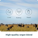 ancient-nutrition-organ-supplements-once-6.jpg