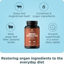 ancient-nutrition-organ-supplements-once-3.jpg