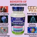 liposomal-spermidine-quercetin-fisetin-8-4.jpg