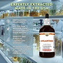 spilanthes-acmella-oleracea-dry-leaf-flo-4.jpg