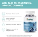 himalaya-ashwagandha-organic-gummies-ksm-4.jpg
