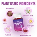 probiotic-kombucha-gummies-sugar-free-pr-5.jpg