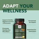 rigma-herbal-bee-gut-health-gas-and-bloa-6.jpg