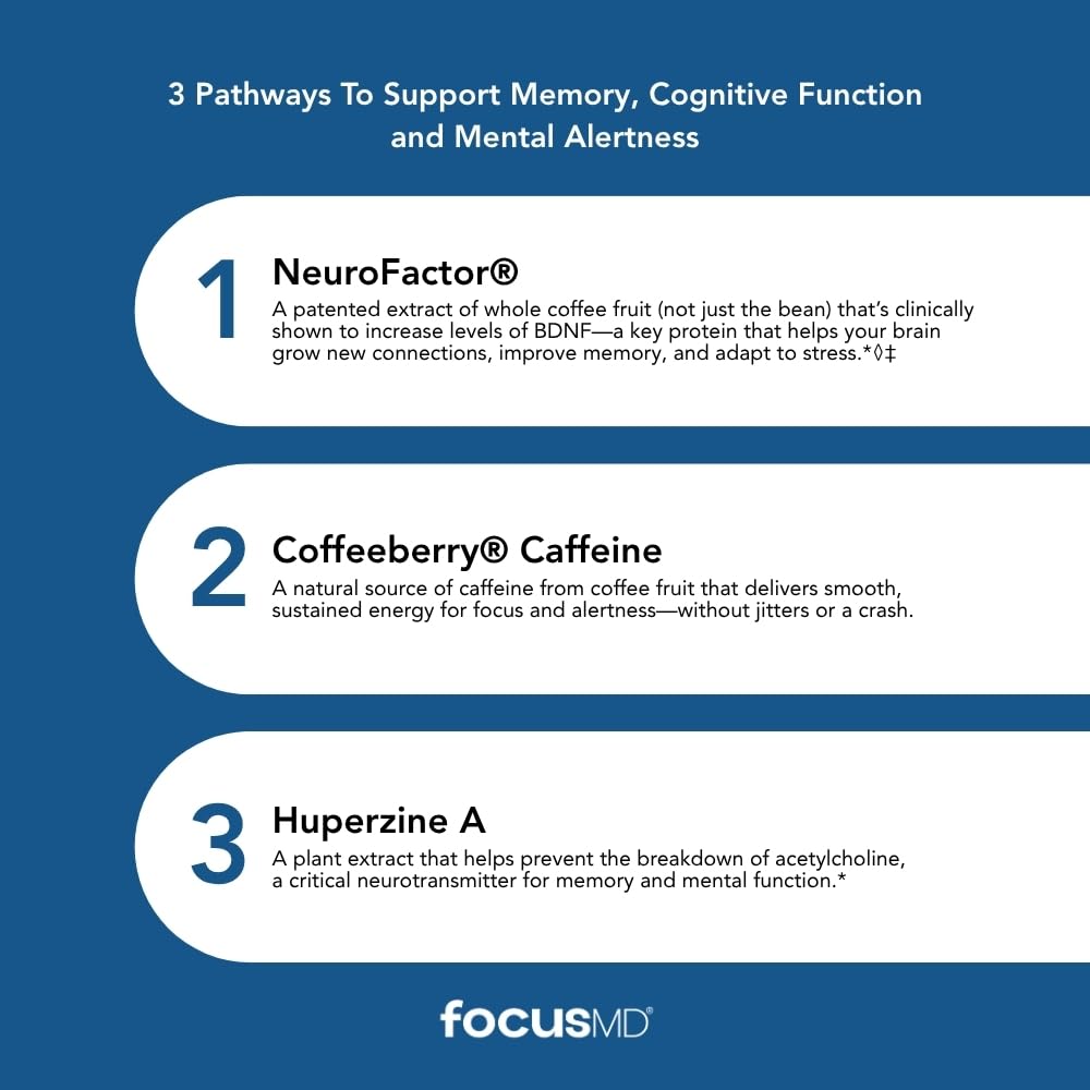 scimeramd-focusmd-brain-supplement-with--4.jpg