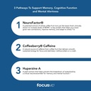 scimeramd-focusmd-brain-supplement-with--4.jpg