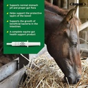 ramard-total-gut-health-equine-digestive-5.jpg