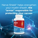 redd-remedies-nerve-shield-supports-heal-5.jpg