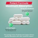 karuna-zinc-picolinate-plus-60-vegetaria-4.jpg