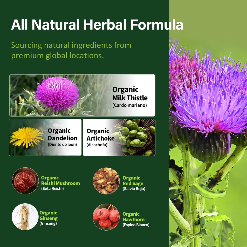 silymarin-milk-thistle-liver-detox-capsu-4.jpg