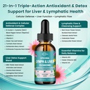 2-pack-liposomal-lymphatic-drainage-drop-2.jpg