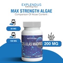 stem-cell-celulas-madres-supplement-for--4.jpg