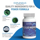stem-cell-celulas-madres-supplement-for--5.jpg