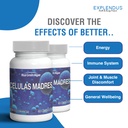 stem-cell-celulas-madres-supplement-for--3.jpg