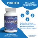 stem-cell-celulas-madres-supplement-for--6.jpg