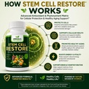 green-valley-naturals-stem-cell-restore--4.jpg
