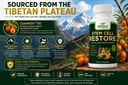 green-valley-naturals-stem-cell-restore--3.jpg
