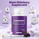 black-elderberry-immune-gut-support-comp-2.jpg