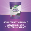 nature-s-way-sambucus-immune-lozenges-hi-5.jpg