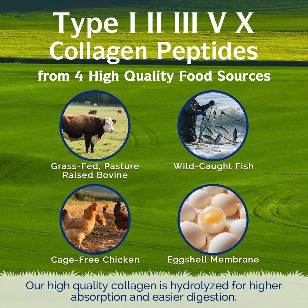 innate-vitality-collagen-peptides-for-wo-3.jpg