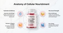 hair-strength-gummies-biotin-zinc-vitami-3.jpg