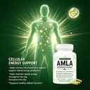 amla-superfruit-capsules-1-000mg-pure-po-3.jpg