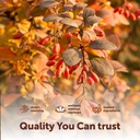 micro-ingredients-berberine-500-mg-per-s-5.jpg