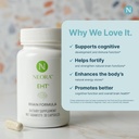 neora-eht-brain-formula-with-eht-extract-4.jpg