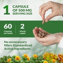 rhodiola-rosea-supplement-organic-premiu-6.jpg