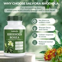 rhodiola-rosea-supplement-organic-premiu-4.jpg