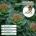 rhodiola-rosea-supplement-organic-premiu-5.jpg