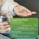rhodiola-rosea-supplement-organic-premiu-2.jpg