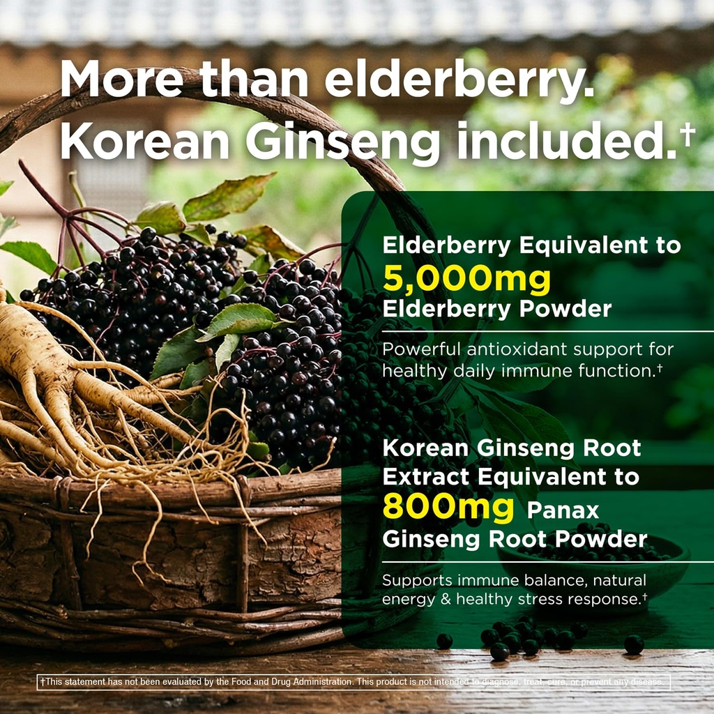 immune-support-6-in-1-elderberry-ginger--4.jpg
