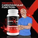 circulation-magnum-xtreme-pro-improved-f-6.jpg