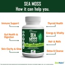 organic-sea-moss-capsules-irish-sea-moss-2.jpg