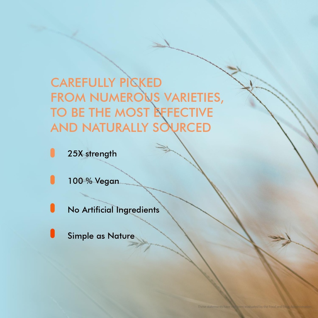 5-mushroom-complex-lion-s-mane-reishi-co-5.jpg
