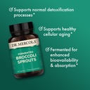 dr-mercola-organic-fermented-broccoli-sp-5.jpg